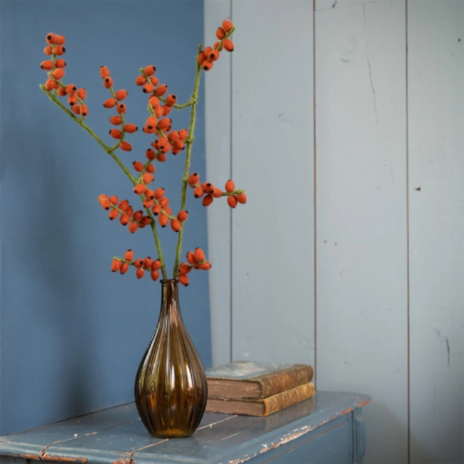 Sjaal met Verhaal Bloem: Tak Bes Rozenbottel