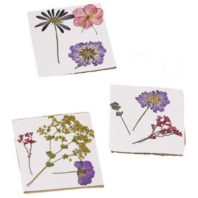 My Magic Garden blad- en bloemenpers
