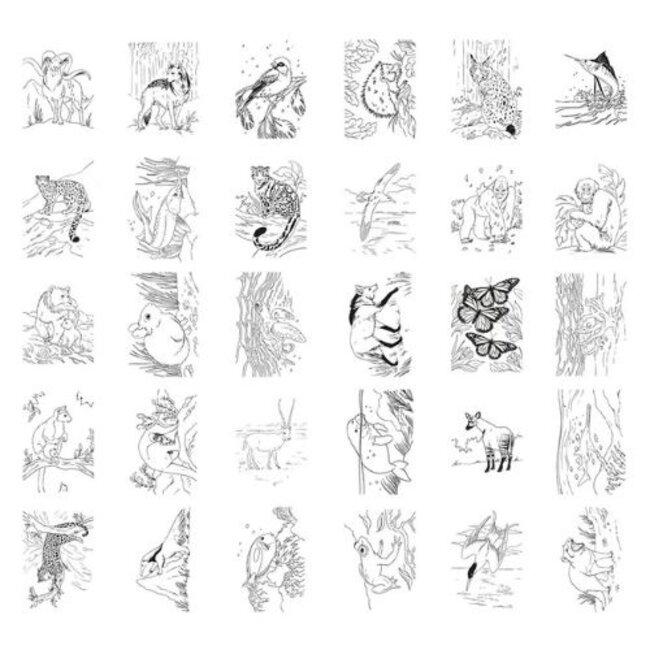 Kidywolf Kidywolf, Kidydraw - Pad - Animals