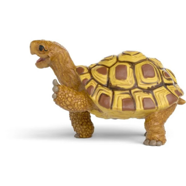 Schleich School van de magische dieren - Henrietta De Schildpad