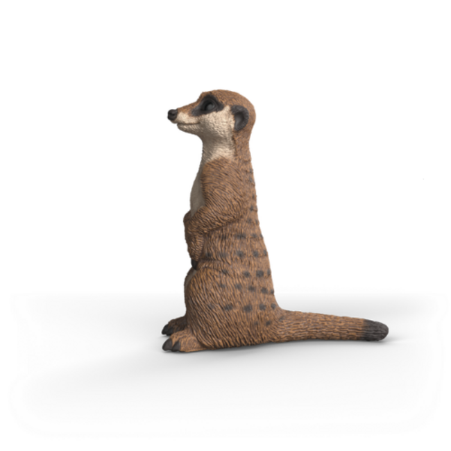 Schleich Wild Life - Stokstaartje