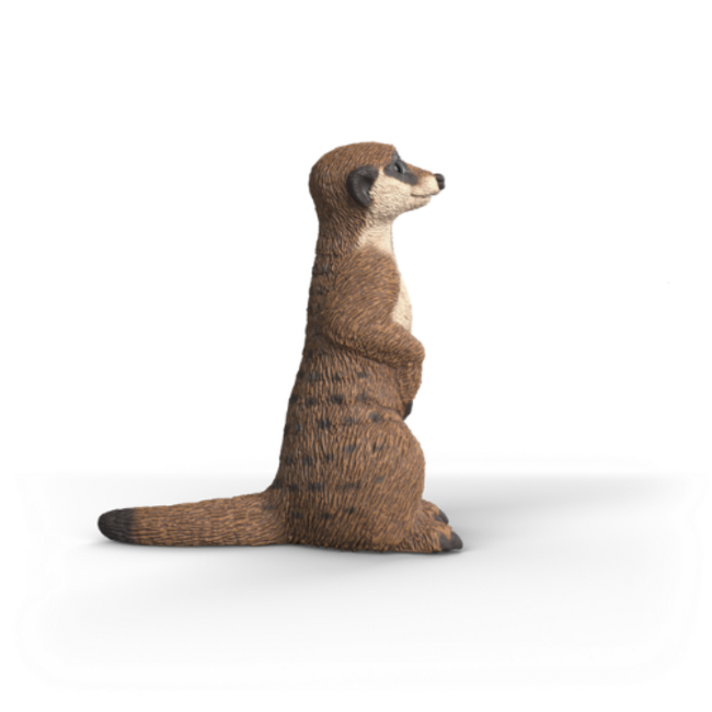 Schleich Wild Life - Stokstaartje