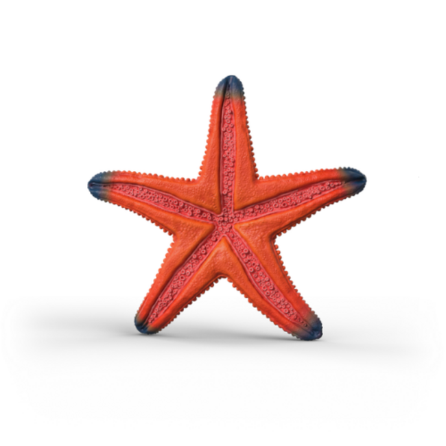 Schleich Wild Life - Kleurveranderende Zeester