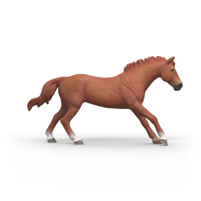 Schleich Horse Club - Engels Volbloed Hengst