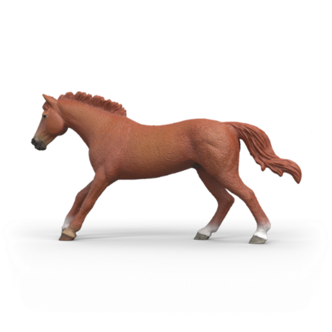 Schleich Horse Club - Engels Volbloed Hengst