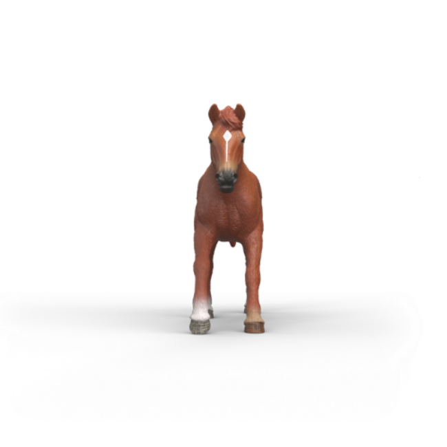 Schleich Horse Club - Engels Volbloed Hengst