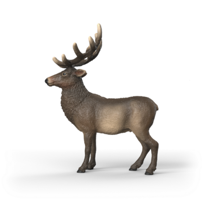 Schleich Wild Life - Amerikaans Edelhert