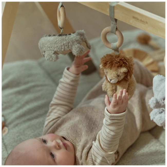 Little Dutch Babygym - Safari Friends