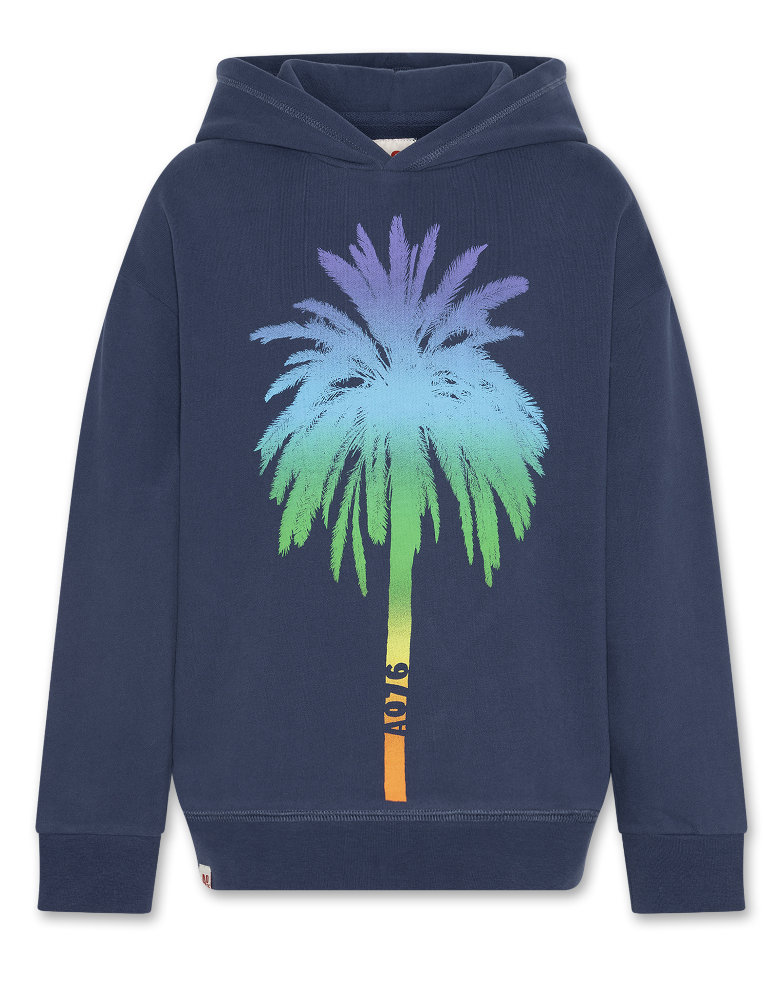 AMERICAN OUTFITTERS Ao76 Arthur hoodie rainbow indigo