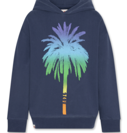 AMERICAN OUTFITTERS Ao76 Arthur hoodie rainbow indigo