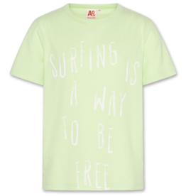 AMERICAN OUTFITTERS Ao76 Mat tshirt surfing light green