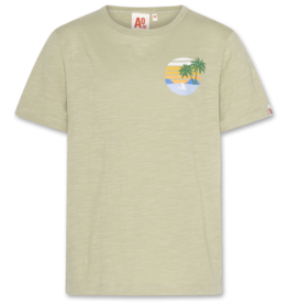 AMERICAN OUTFITTERS Ao76 Mat tshirt island light olive