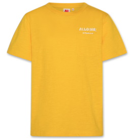 AMERICAN OUTFITTERS Ao76 Mick tshirt alloha sun orange