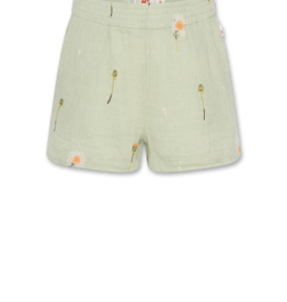 AMERICAN OUTFITTERS Ao76 Munya dandelion short quiet green