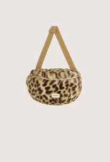 BELLEROSE BELLEROSE Heccy52 F2554