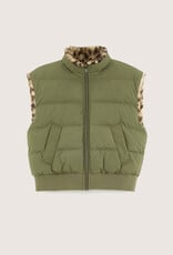 BELLEROSE BELLEROSE Herone P1420