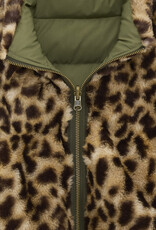 BELLEROSE BELLEROSE Herone P1420