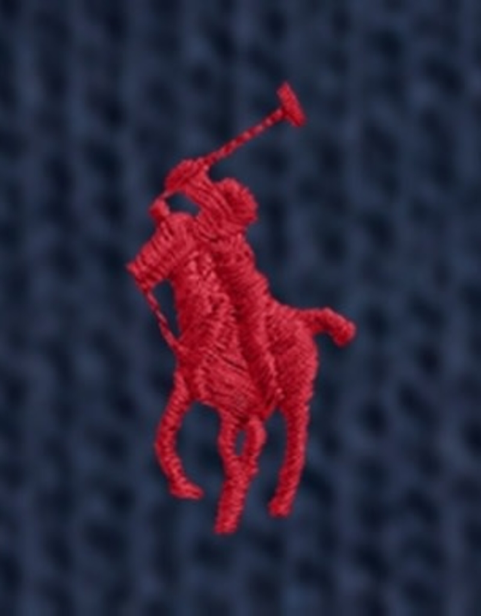 RALPH LAUREN RALPH LAUREN Sweater met kap blauw