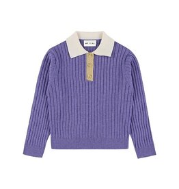 MORLEY MORLEY Yucca mir violet