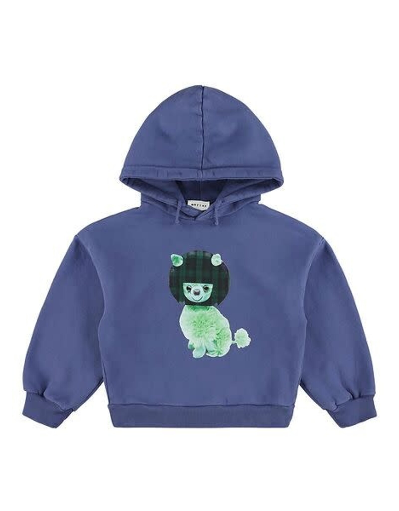 MORLEY MORLEY Ygor fifi denim