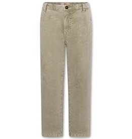 AMERICAN OUTFITTERS Ao76 Bill cord pants light olive