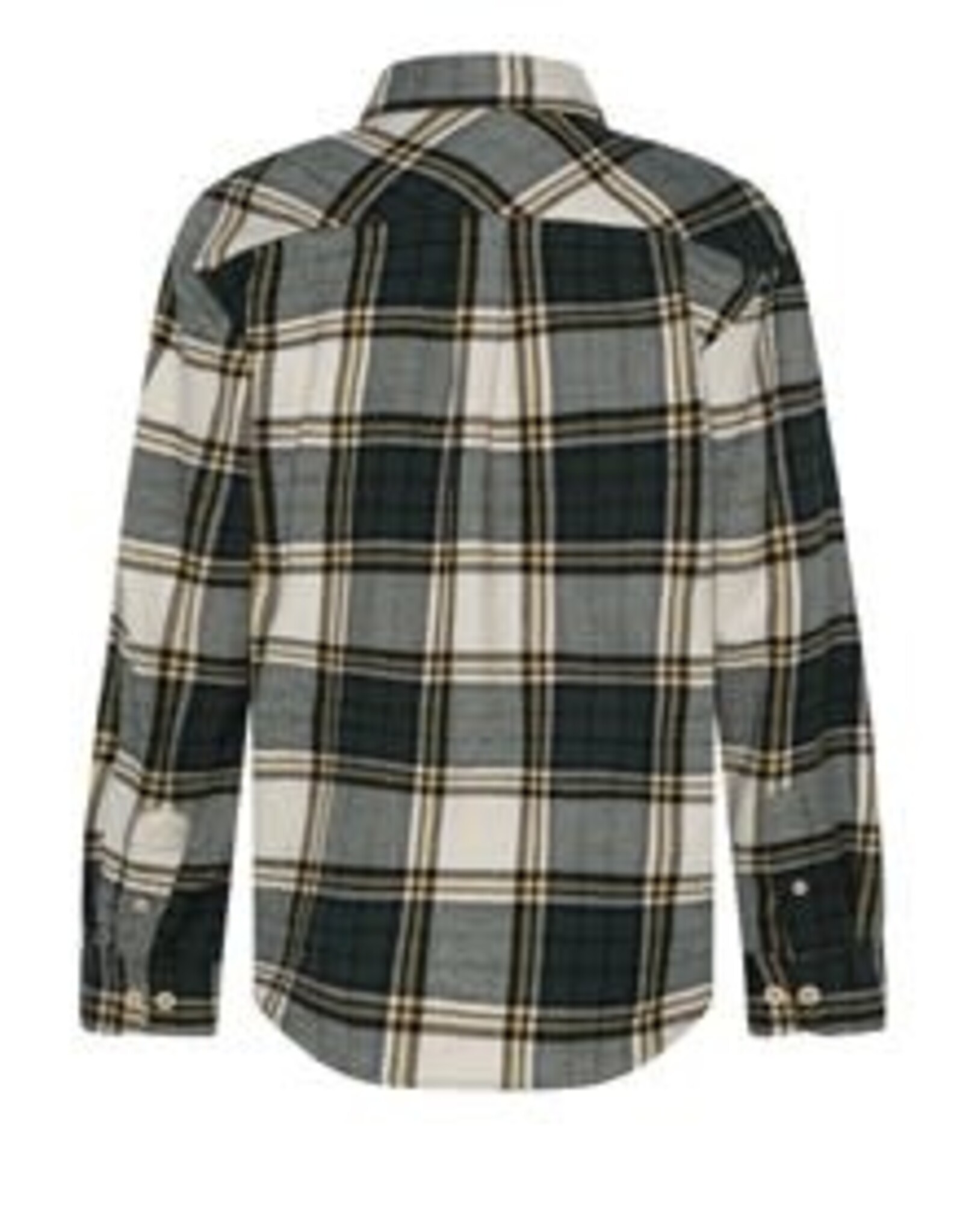 AMERICAN OUTFITTERS Ao76 Tim shirt wang school green