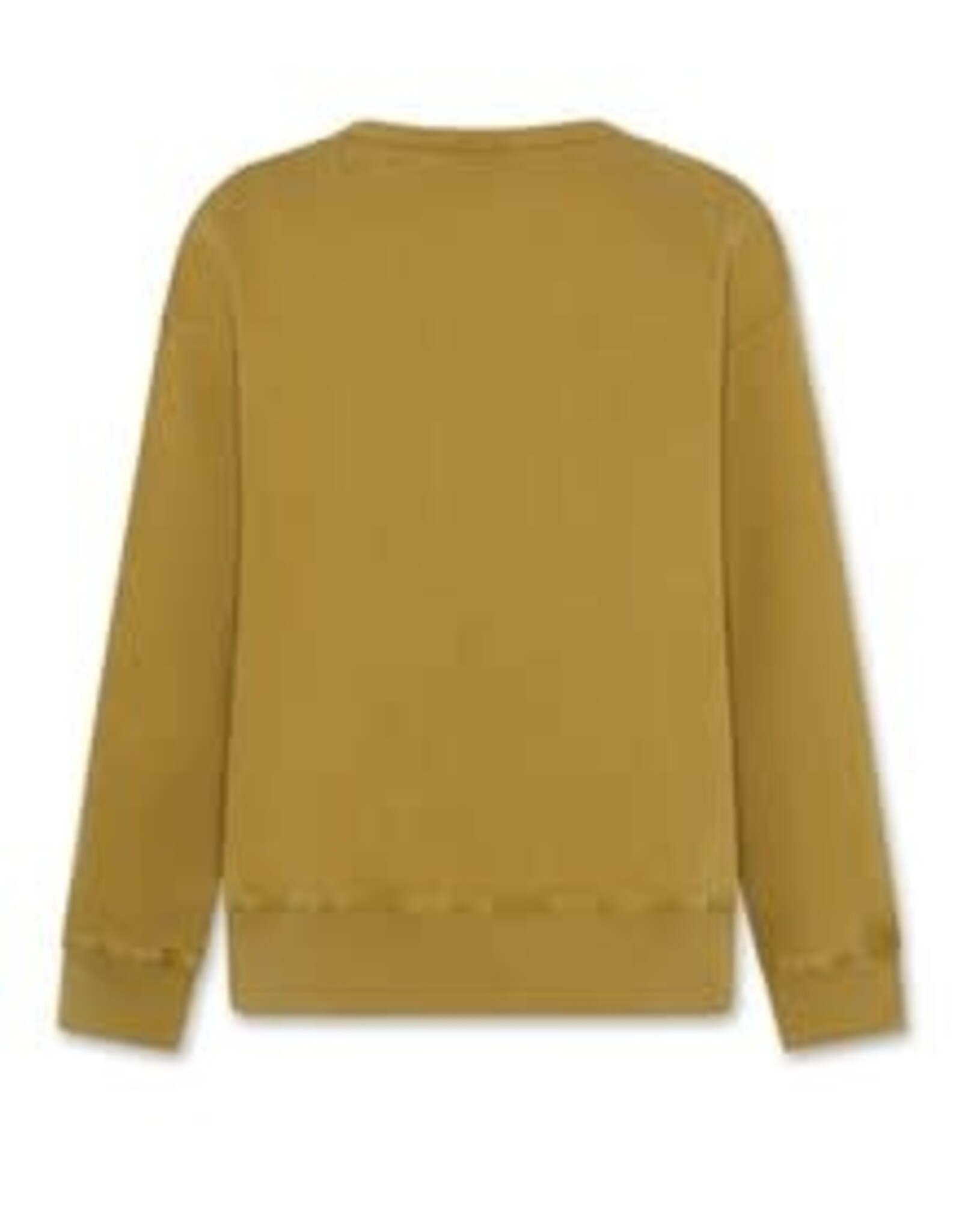 AMERICAN OUTFITTERS Ao76 Oscar sweater vibes willow green