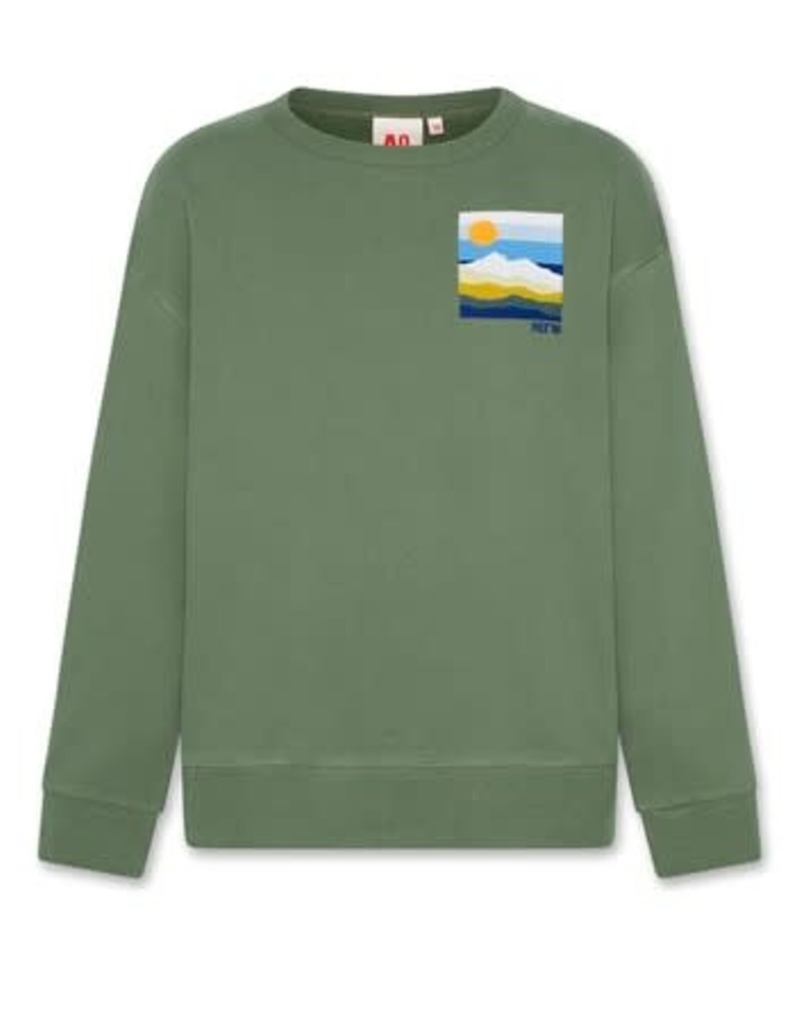 AMERICAN OUTFITTERS Ao76 Oscar sweater landscape earth green