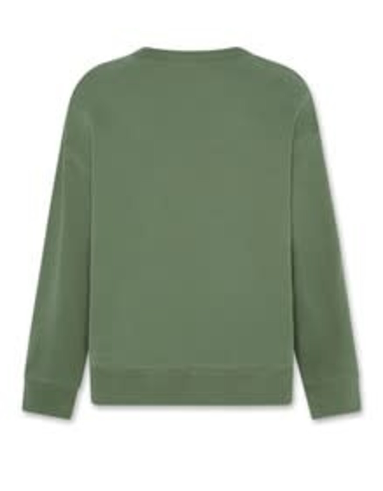 AMERICAN OUTFITTERS Ao76 Oscar sweater landscape earth green