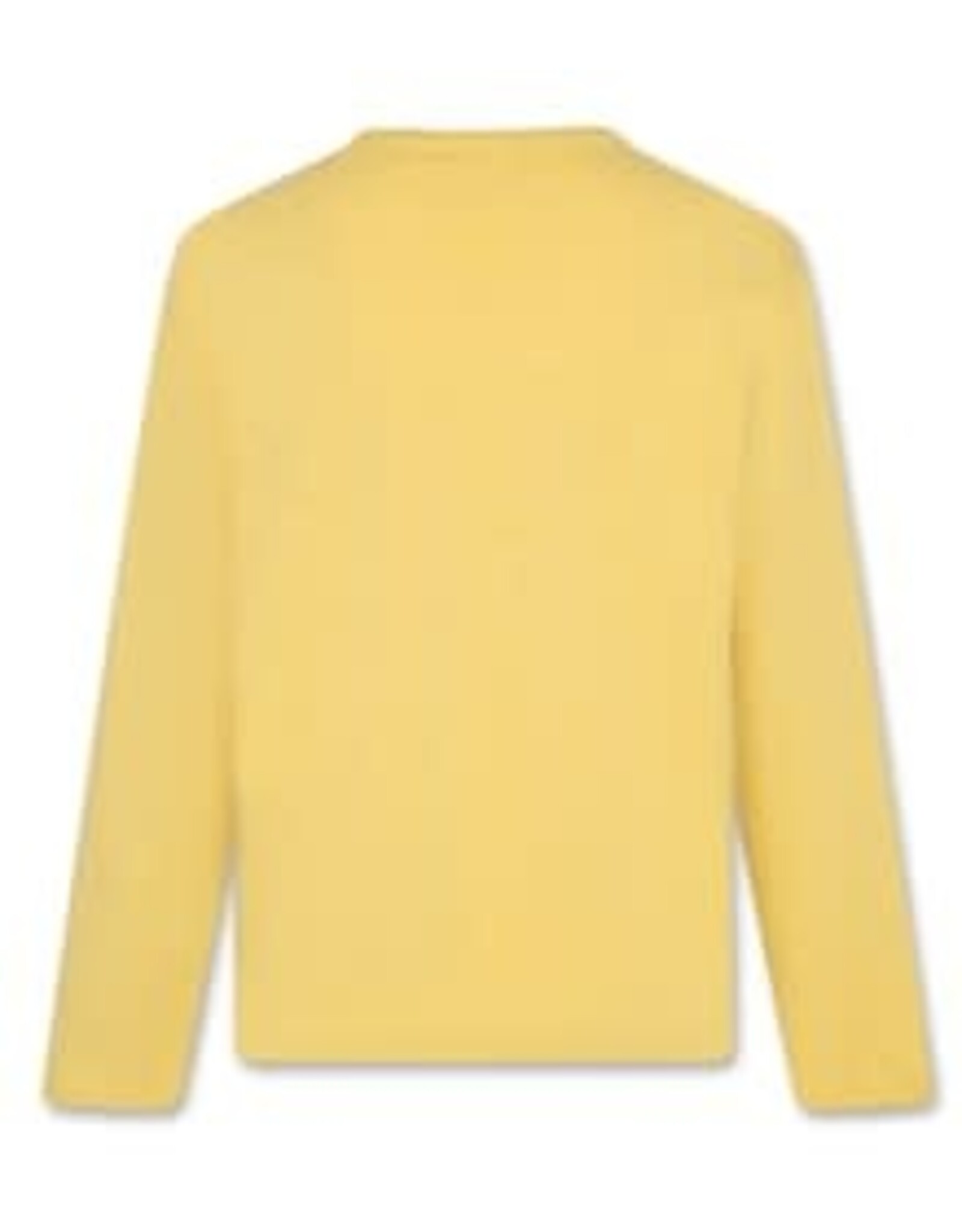 AMERICAN OUTFITTERS Ao76 Ben t-shirt street ginger