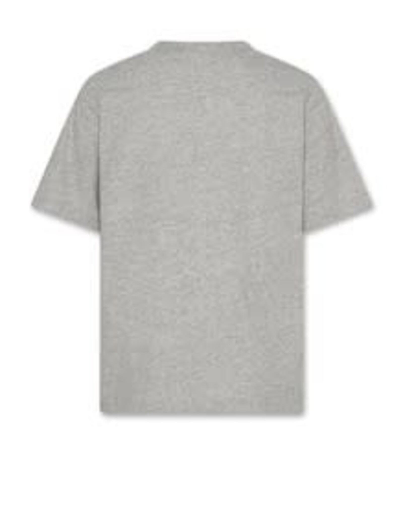 AMERICAN OUTFITTERS Ao76 Silas t-shirt landscape  oxford