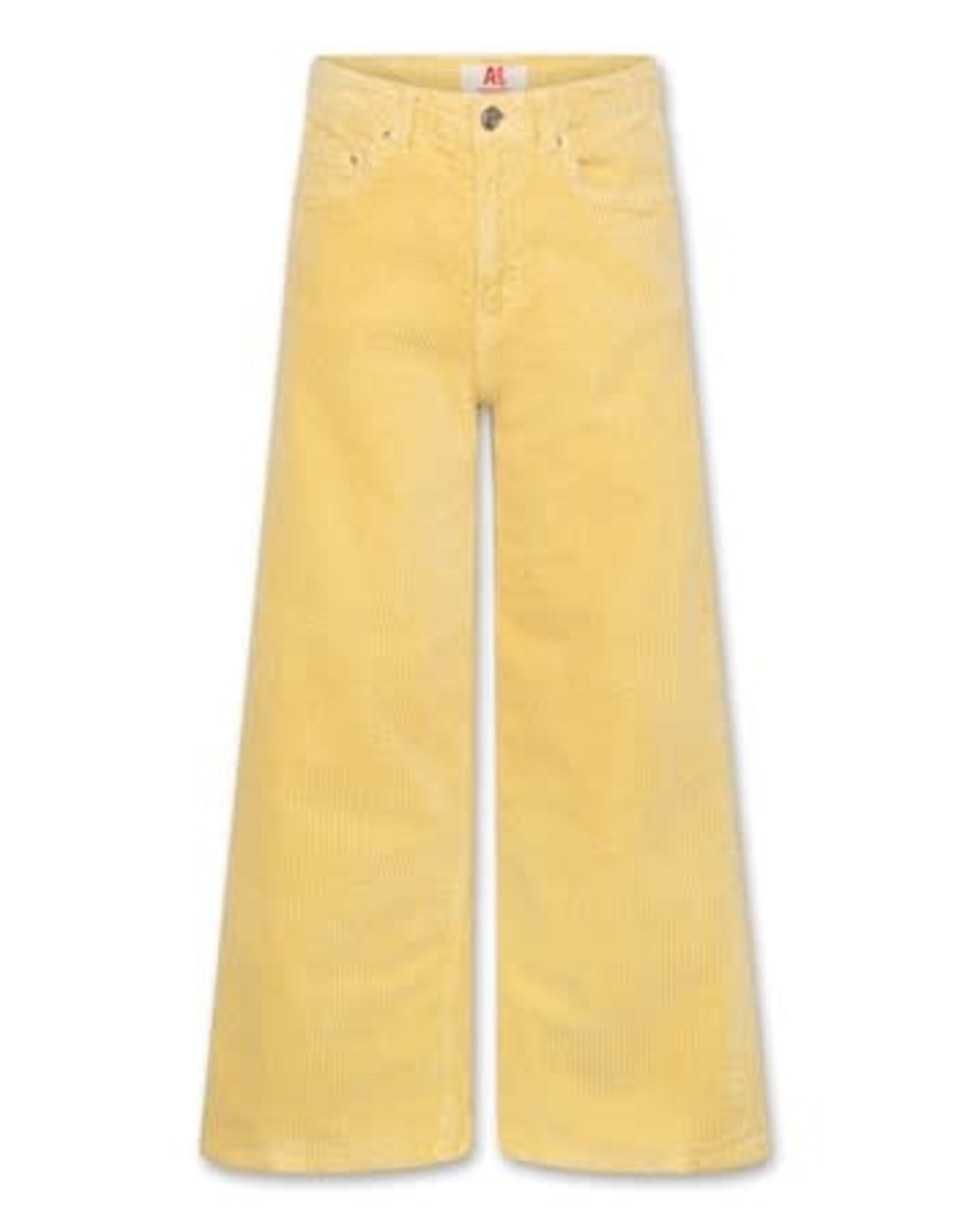 AMERICAN OUTFITTERS Ao76 Zina ardo pants ginger