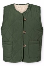 MOLO MOLO Holla dark forest