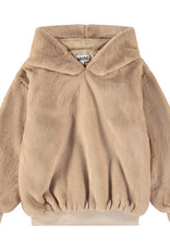 MOLO MOLO Maureen pomeranian