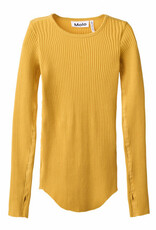 MOLO MOLO Rochelle energy