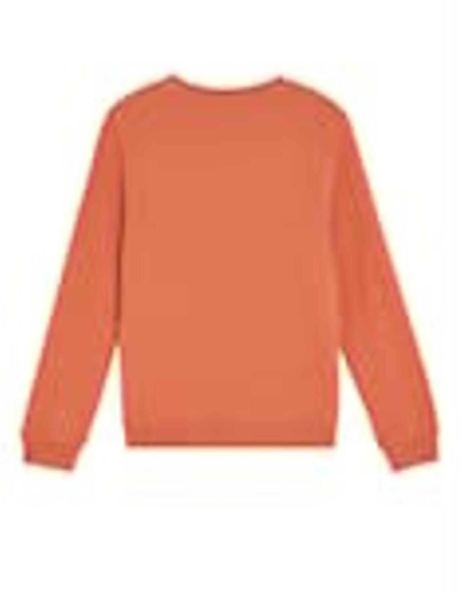 LYLE & SCOTT LYLE & SCOTT Crewneck sweatshirt brick