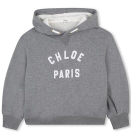 CHLOE CHLOE sweater met kap gris