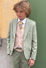 D.LUX D.LUX Bermuda Daan green