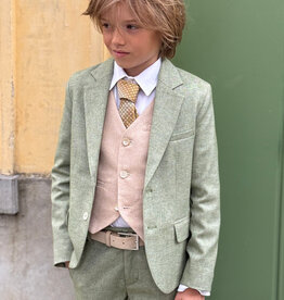 D.LUX D.LUX Bermuda Daan green