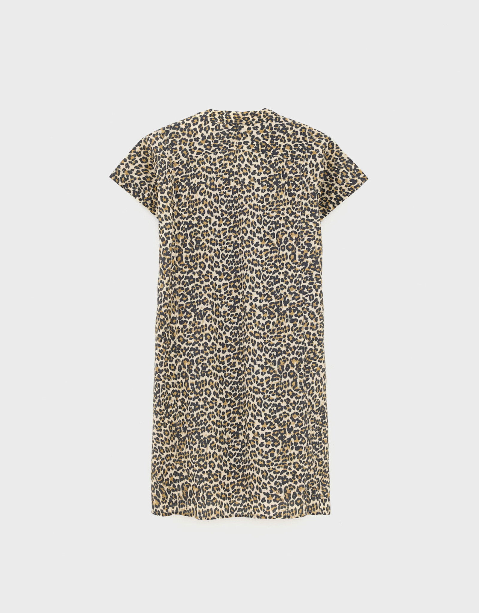 BELLEROSE BELLEROSE Hazer F2614