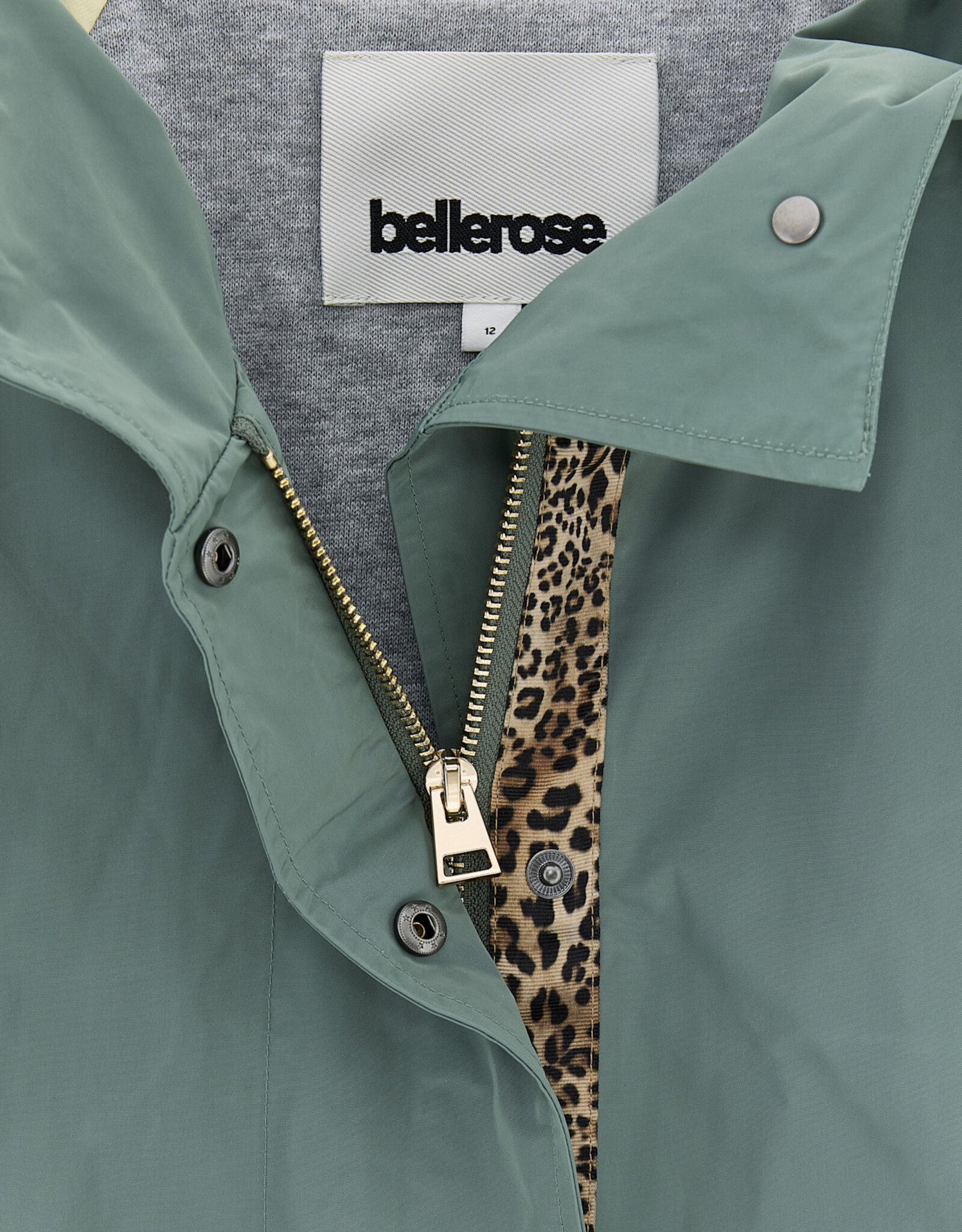 BELLEROSE BELLEROSE Roover61 P1772