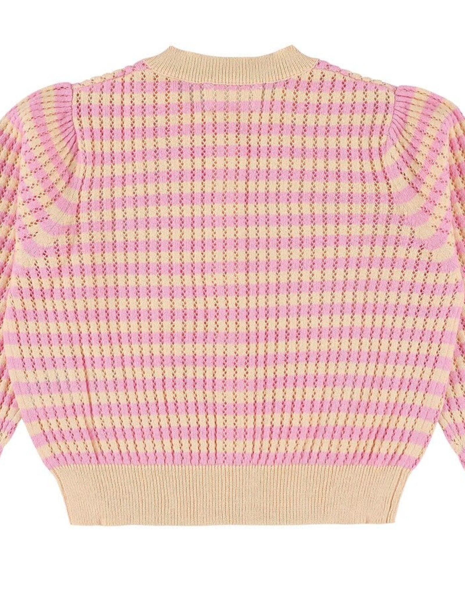 MORLEY MORLEY Xerox cotton peach