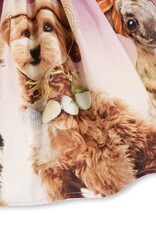 MOLO MOLO Brenda beach ready