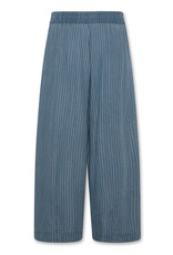 AMERICAN OUTFITTERS Ao76 Asa pants stripe wash middle