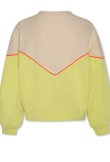 AMERICAN OUTFITTERS Ao76 Miles sweater logo citrus