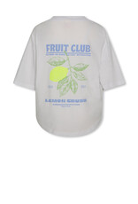AMERICAN OUTFITTERS Ao76 True t-shirt fresh white