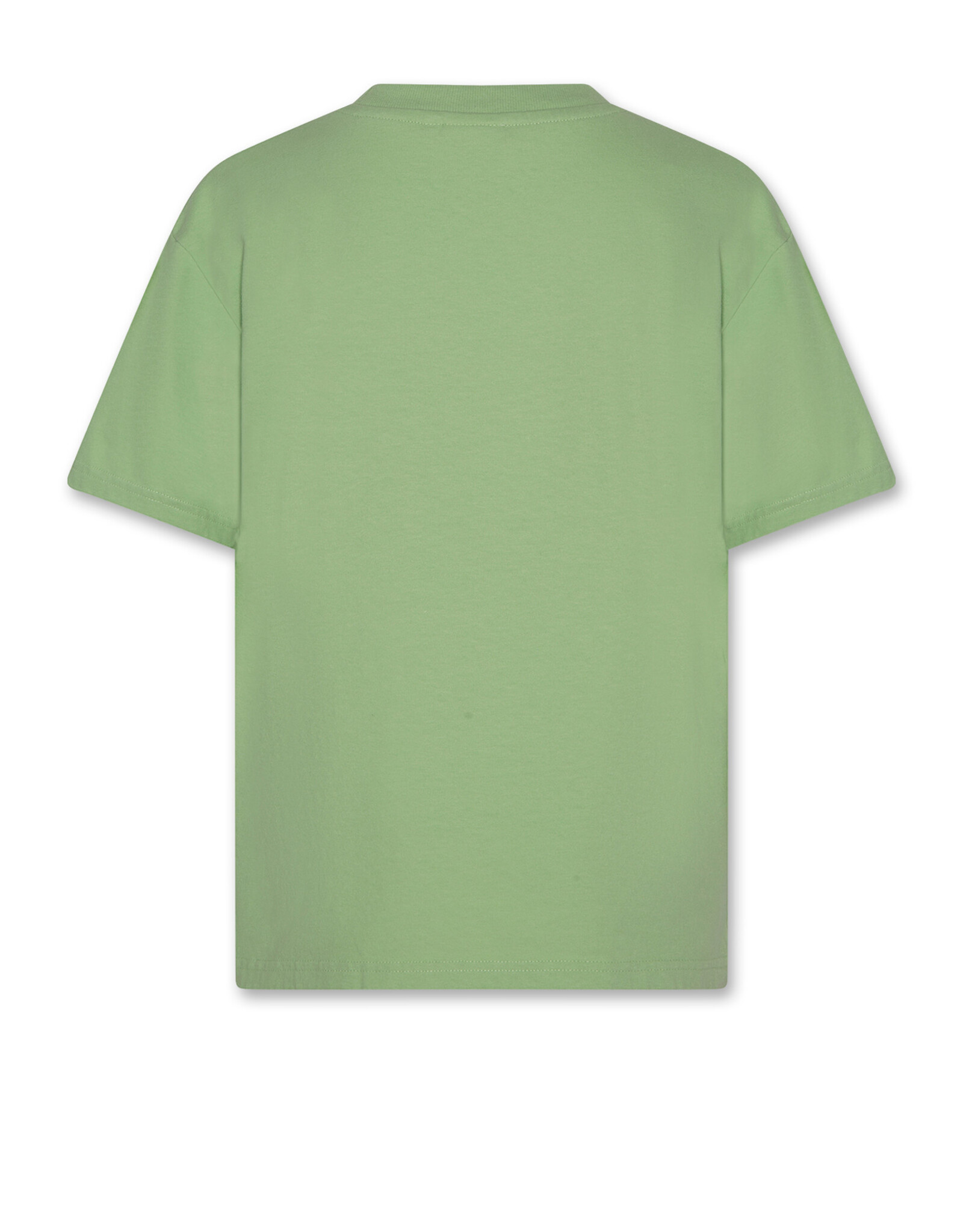 AMERICAN OUTFITTERS Ao76 Richmond t-shirt surf light green