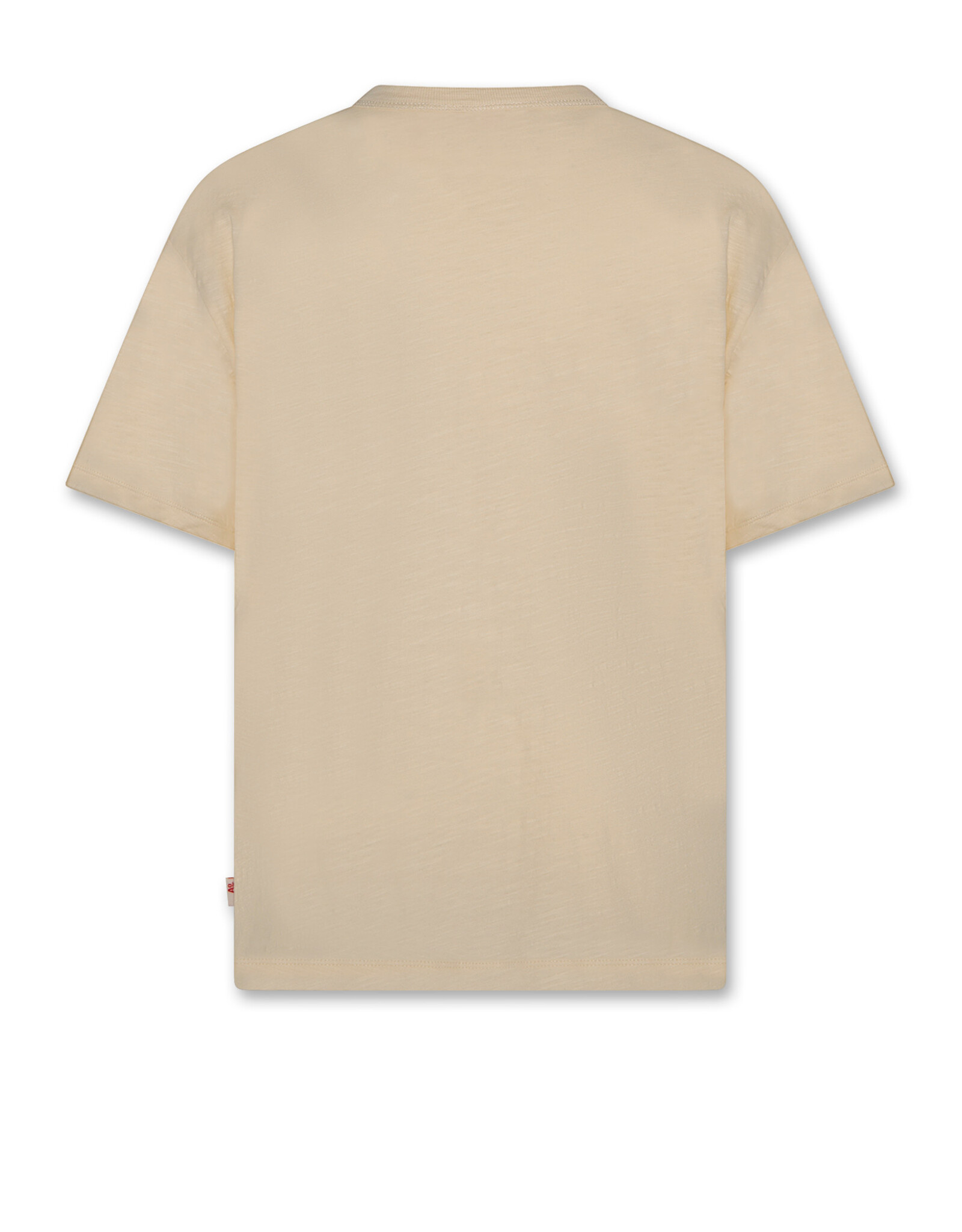 AMERICAN OUTFITTERS Ao76 Silas t-shirt landscape sahara