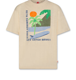 AMERICAN OUTFITTERS Ao76 Silas t-shirt landscape sahara