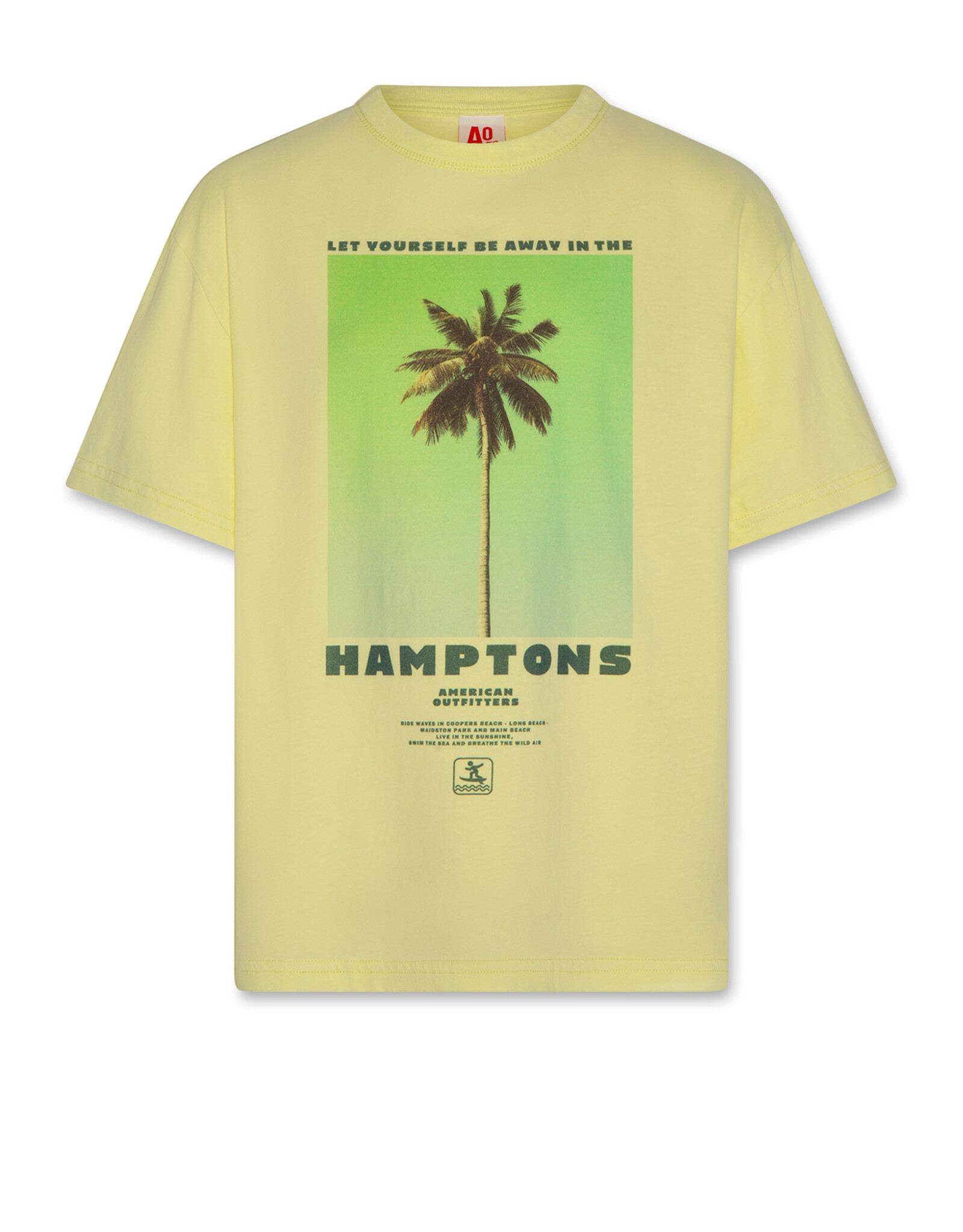 AMERICAN OUTFITTERS Ao76 Silas t-shirt hamptons SP citrus